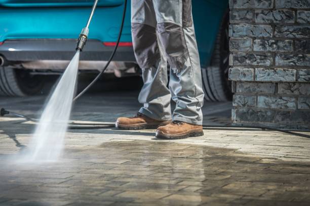 Animal Enclosure Cleaning in Canton, IL